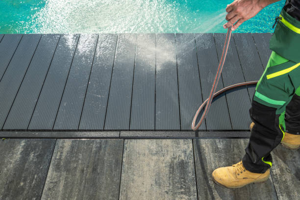 Best Roof Pressure Washing  in Ely, IA