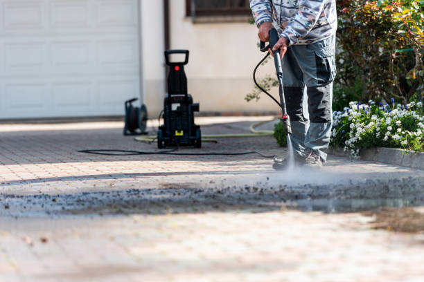 Best Best Pressure Washing Companies  in Ely, IA