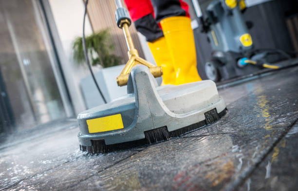 Best Pressure Washing Company Near Me  in Ely, IA