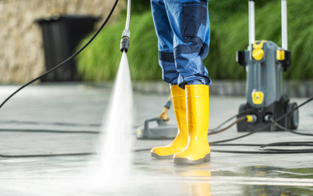 Best Affordable Power Washing  in Ely, IA