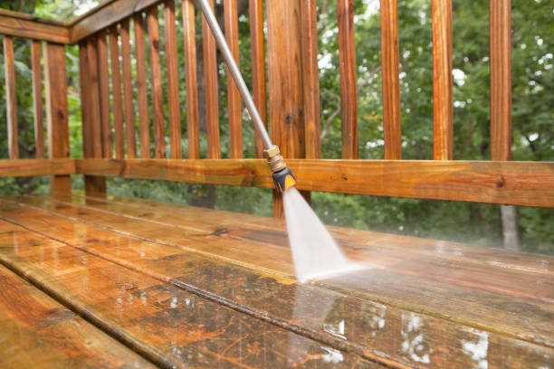 Best Fence Pressure Washing  in Ely, IA