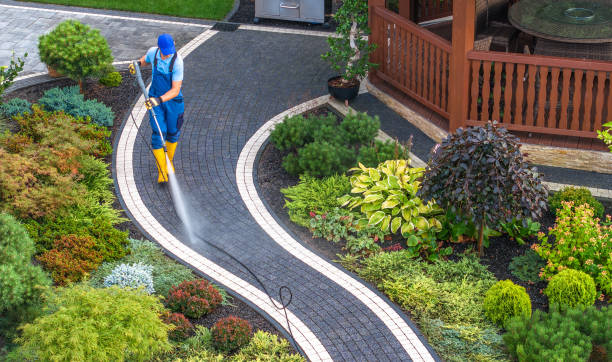 Best Power Washing Near Me  in Ely, IA