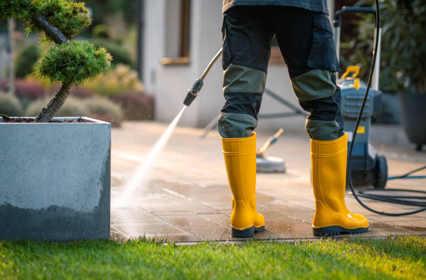 Best House Pressure Washing  in Ely, IA